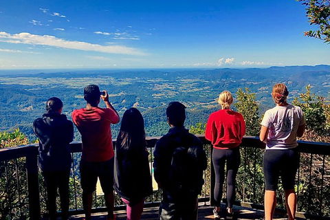Springbrook Full Day Tour - Accommodation Coffs Harbour 2