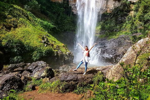 Springbrook Full Day Tour - Accommodation Coffs Harbour 10