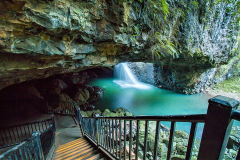 Springbrook Full Day Tour - Accommodation Coffs Harbour 12