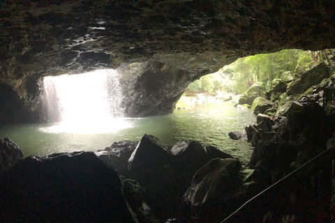 Springbrook Full Day Tour - Accommodation Coffs Harbour 9
