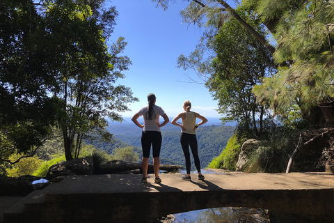 Springbrook Full Day Tour - Accommodation Coffs Harbour 15