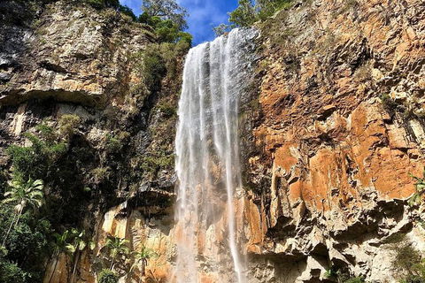 Springbrook Full Day Tour - Accommodation Coffs Harbour 14