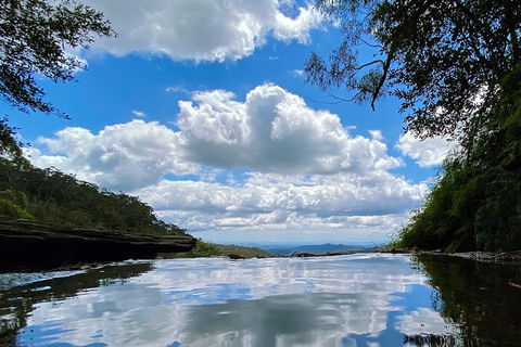 Springbrook Full Day Tour - Accommodation Coffs Harbour 6