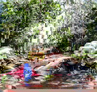 Rainforest Platypus Night Dive Certified Divers Only once day dive completed - Accommodation Coffs Harbour