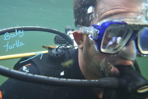 Rainforest Platypus Night Dive (Certified Divers Only Once Day Dive Completed) - Accommodation Coffs Harbour 4