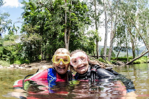 Rainforest Platypus Night Dive (Certified Divers Only Once Day Dive Completed) - Accommodation Coffs Harbour 2