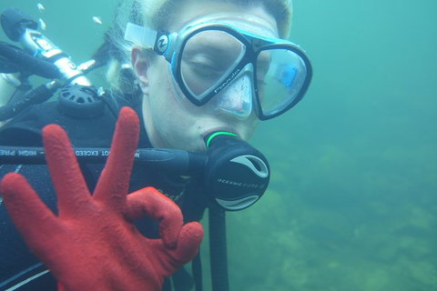 Rainforest Platypus Night Dive (Certified Divers Only Once Day Dive Completed) - Accommodation Coffs Harbour 5