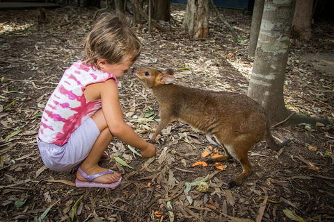 Hartley's Crocodile Adventures Day Trip From Cairns - Accommodation Coffs Harbour 1