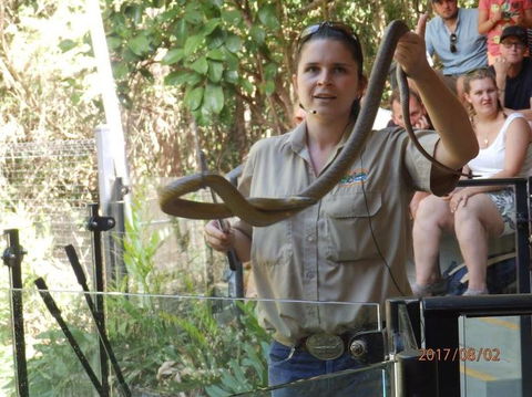 Hartley's Crocodile Adventures Day Trip From Cairns - Accommodation Coffs Harbour 6