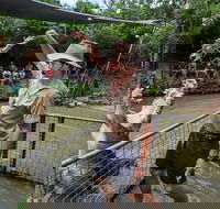 Hartley's Crocodile Adventures Day Trip from Cairns - Accommodation Coffs Harbour