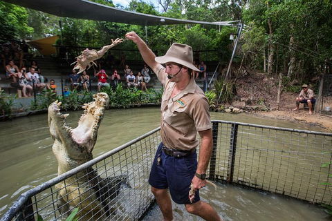 Hartley's Crocodile Adventures Day Trip From Cairns - Accommodation Coffs Harbour 0