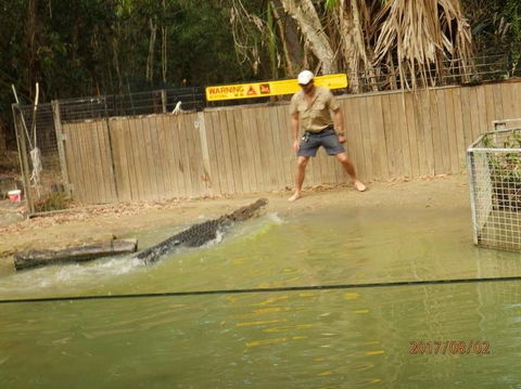 Hartley's Crocodile Adventures Day Trip From Cairns - Accommodation Coffs Harbour 8