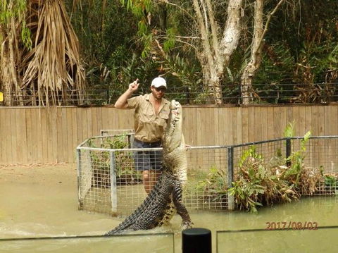Hartley's Crocodile Adventures Day Trip From Cairns - Accommodation Coffs Harbour 2