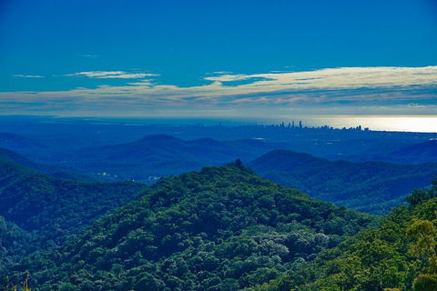 Rainforest & Waterfalls Extravaganza - Accommodation Coffs Harbour 6