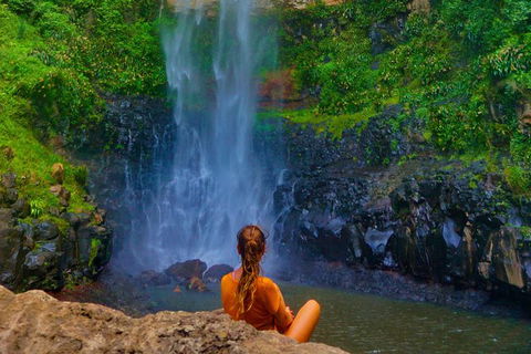 Rainforest & Waterfalls Extravaganza - Accommodation Coffs Harbour 11