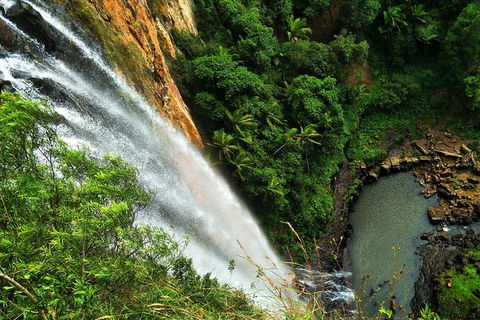 Rainforest & Waterfalls Extravaganza - Accommodation Coffs Harbour 2