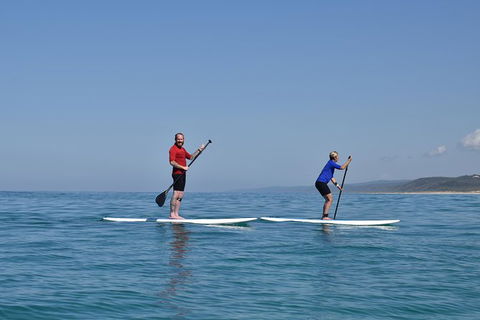 Stand Up Paddle Double Island Lesson - Accommodation Coffs Harbour 1