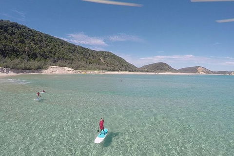 Stand Up Paddle Double Island Lesson - Accommodation Coffs Harbour 11