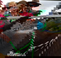 Mackay's Day in the Clouds Paddock to Plate Tour - Accommodation Coffs Harbour