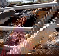 Mackay Farm Food and Flavours Tour - Accommodation Coffs Harbour