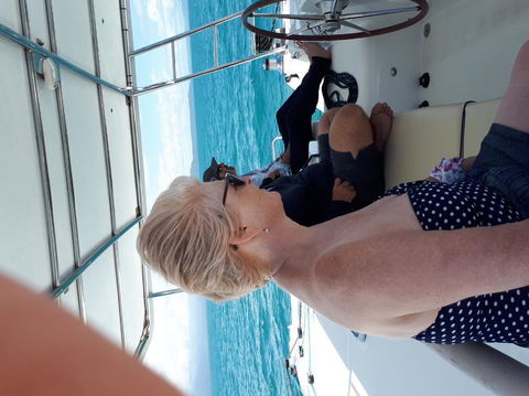 Afternoon Low Isles Snorkeling And Sailing Cruise From Port Douglas - Accommodation Coffs Harbour 8