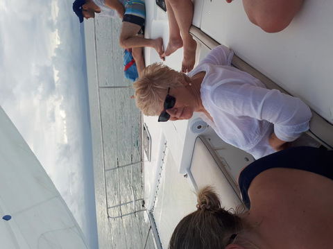 Afternoon Low Isles Snorkeling And Sailing Cruise From Port Douglas - Accommodation Coffs Harbour 5