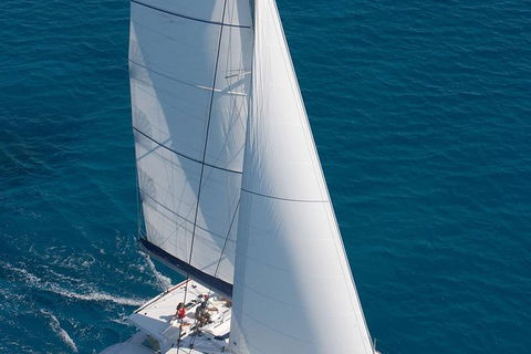 Afternoon Low Isles Snorkeling And Sailing Cruise From Port Douglas - Accommodation Coffs Harbour 11