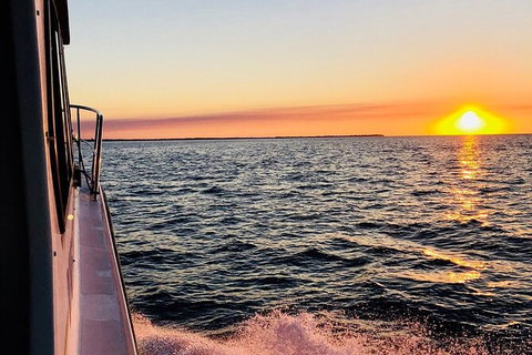 Hervey Bay Whale Swim And Watch - Accommodation Coffs Harbour 7