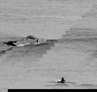 Overnight Tweed Coast Camping and Surfing Getaway From The Gold Coast - Accommodation Coffs Harbour