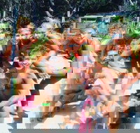 1770 CASTAWAY SURVIVOR 3 Day 2 Night Island Adventure Tour - Accommodation Coffs Harbour