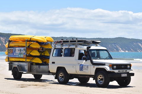 Half-Day Kayak With Dolphins And 4WD Beach Drive From Rainbow Beach - Accommodation Coffs Harbour 13