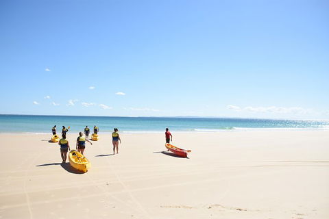 Half-Day Kayak With Dolphins And 4WD Beach Drive From Rainbow Beach - Accommodation Coffs Harbour 10