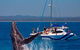 Blue Dolphin Exclusive Whale Watch Encounters - thumb 0