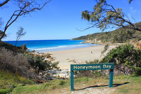 Fraser & Moreton Island 3-Day Scenic 4WD ECO Tour From Brisbane Or Gold Coast - Accommodation Coffs Harbour 0