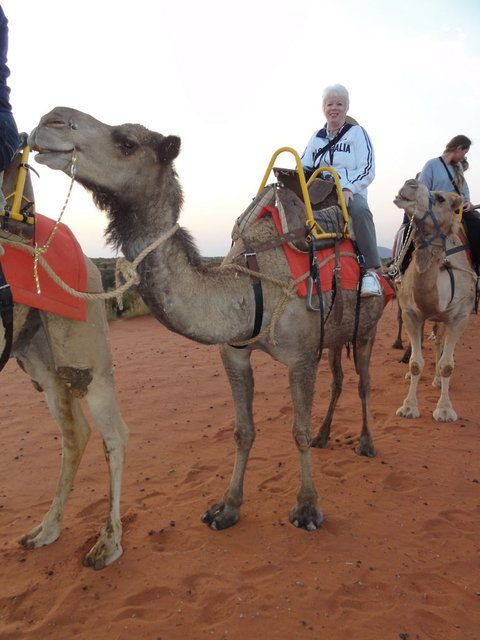 Uluru Small-Group Tour By Camel At Sunrise Or Sunset - Accommodation Coffs Harbour 2