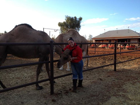 Uluru Small-Group Tour By Camel At Sunrise Or Sunset - Accommodation Coffs Harbour 21
