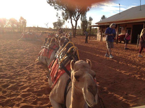 Uluru Small-Group Tour By Camel At Sunrise Or Sunset - Accommodation Coffs Harbour 22