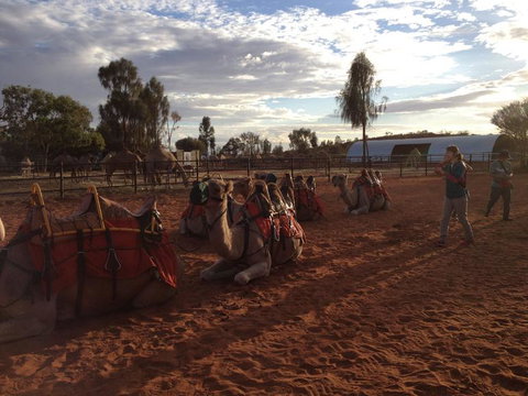 Uluru Small-Group Tour By Camel At Sunrise Or Sunset - Accommodation Coffs Harbour 23