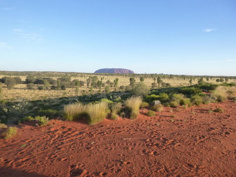 Uluru Small-Group Tour By Camel At Sunrise Or Sunset - Accommodation Coffs Harbour 9