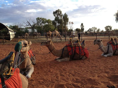Uluru Small-Group Tour By Camel At Sunrise Or Sunset - Accommodation Coffs Harbour 24