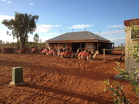 Uluru Small-Group Tour By Camel At Sunrise Or Sunset - Accommodation Coffs Harbour 19