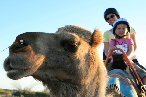 Uluru Small-Group Tour By Camel At Sunrise Or Sunset - Accommodation Coffs Harbour 3
