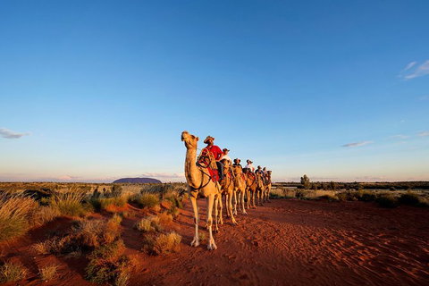 Uluru Small-Group Tour By Camel At Sunrise Or Sunset - Accommodation Coffs Harbour 26