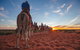 Uluru Small-Group Tour By Camel At Sunrise Or Sunset - thumb 28