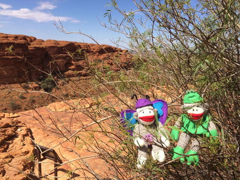 Kings Canyon Day Trip From Ayers Rock - Accommodation Coffs Harbour 23