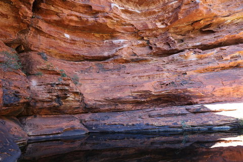 Kings Canyon Day Trip From Ayers Rock - Accommodation Coffs Harbour 16