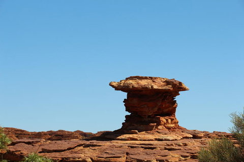 Kings Canyon Day Trip From Ayers Rock - Accommodation Coffs Harbour 17