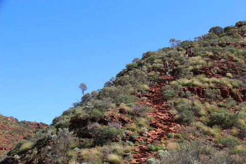 Kings Canyon Day Trip From Ayers Rock - Accommodation Coffs Harbour 21
