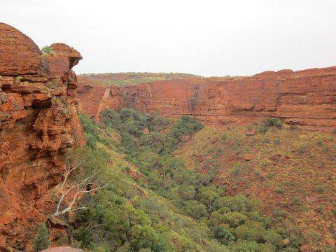 Kings Canyon Day Trip From Ayers Rock - Accommodation Coffs Harbour 13