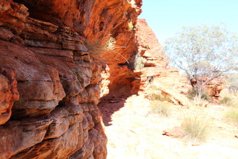 Kings Canyon Day Trip From Ayers Rock - Accommodation Coffs Harbour 20